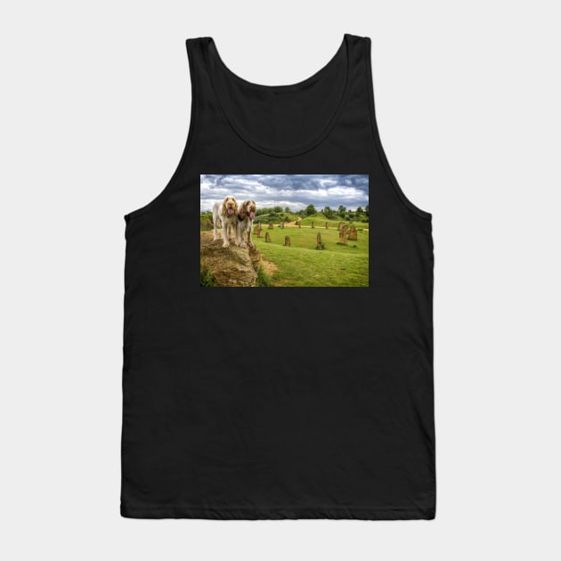 Dogs on a Rock Spinoni Tank Top by heidiannemorris